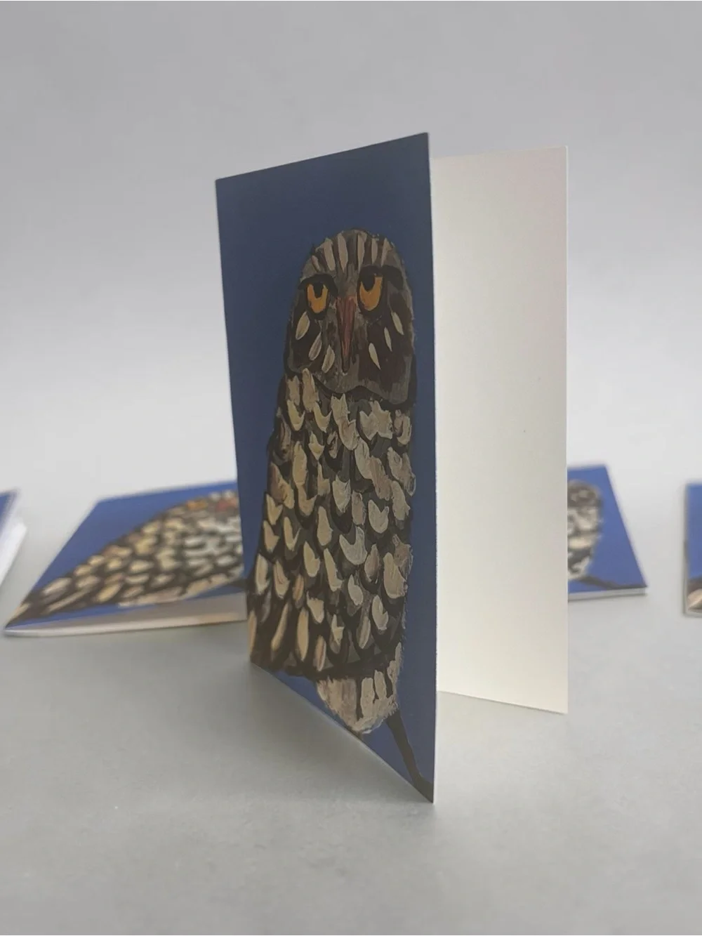 Wise Owl on Blue Sky – 5 Pack Greeting Card Set by Briefcase Artist
